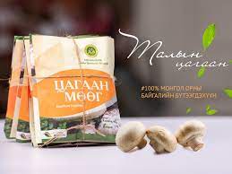 Цагаан мөөг 10гр Амгаланзаяа