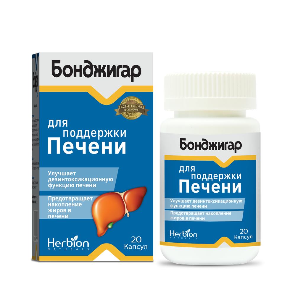 Бонджигар №20