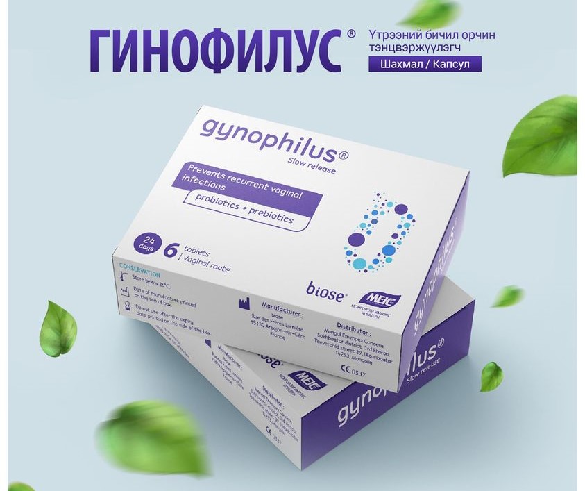 гинопилус лаа  №6