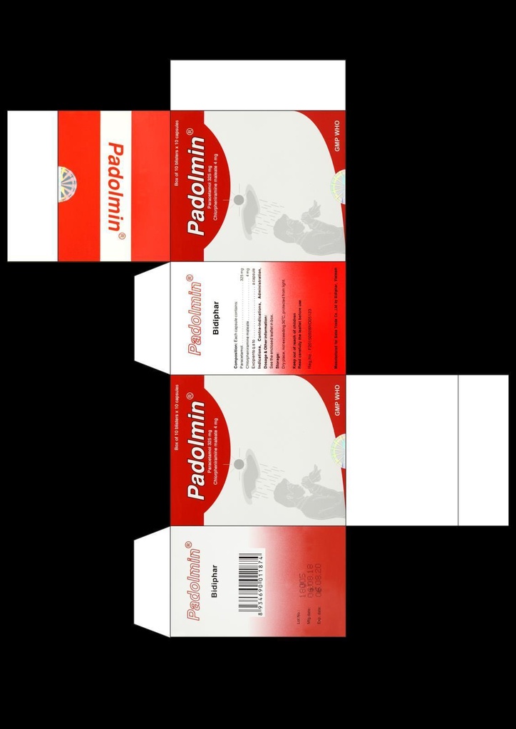 Падолмин №100