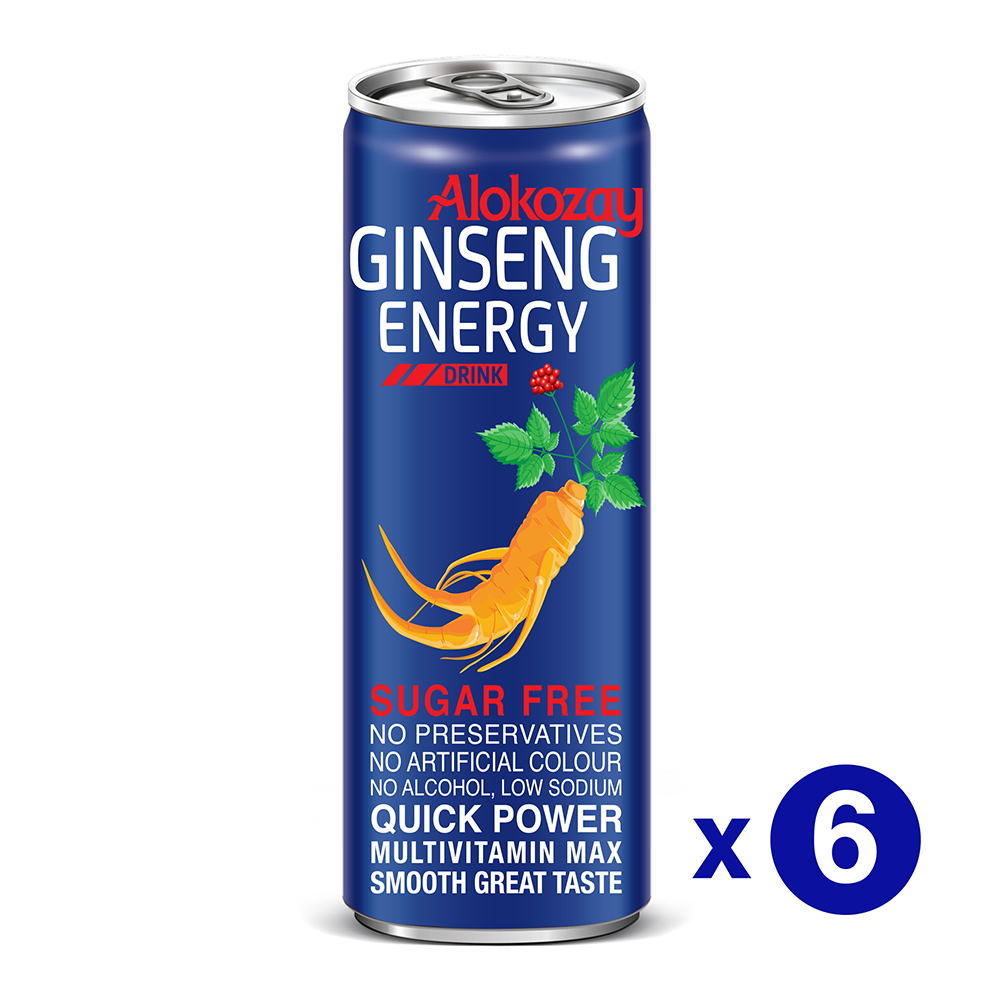 Haiwad GINSENG Energy Drink 250мл