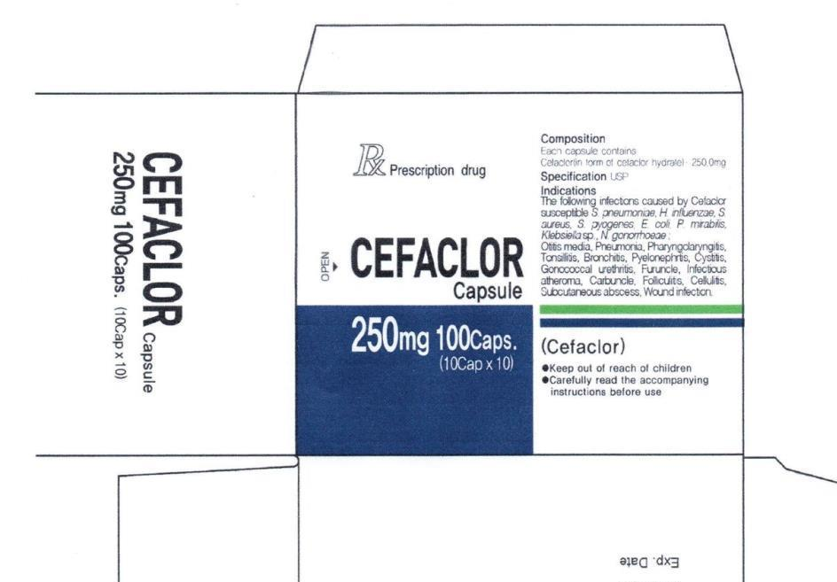 Цефаклор 250мг №10