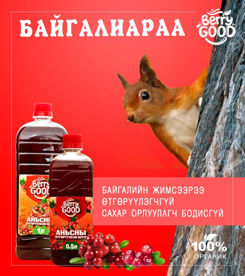 Berry Good Аньсны өтгөрүүлсэн шүүс 1л