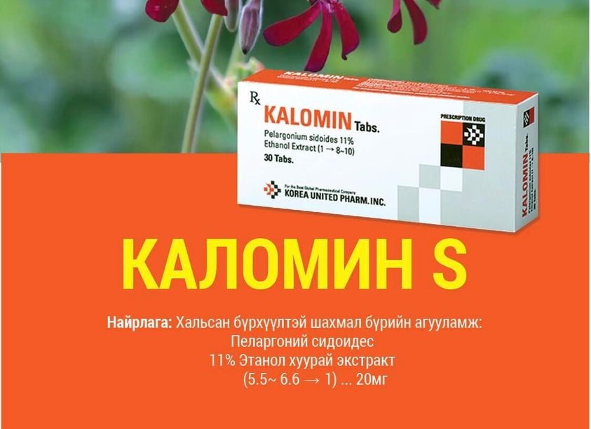 Каломин Эс №30
