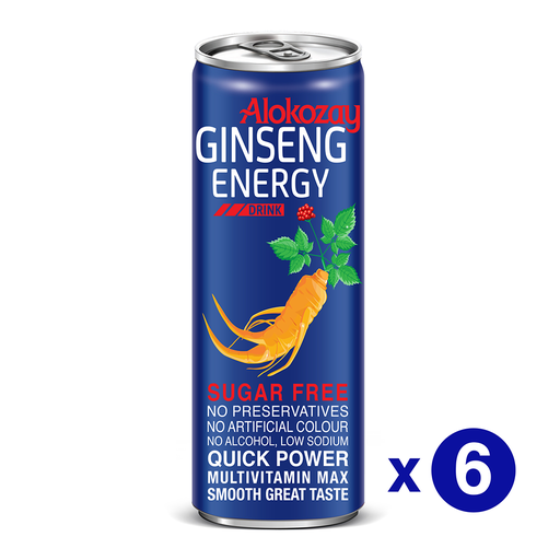 [0100437] Haiwad GINSENG Energy Drink 250мл