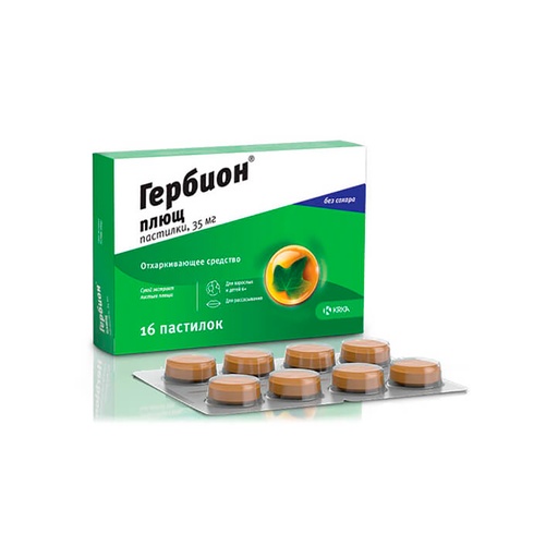 [3900052] Гербион Плюща хүлхмэл №16