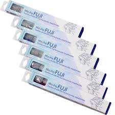 [4700203] Mizuha Fuji Шүдний сойз